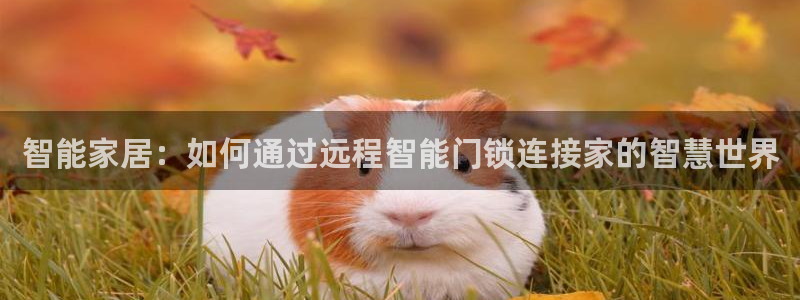 开丰娱乐前：智能家居：如何通过远程智能门锁连接家的智慧世界