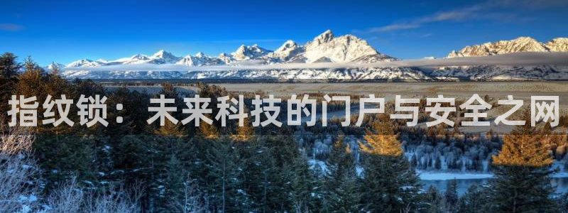 开丰娱乐后7O667：指纹锁：未来科技的门户与安全之网