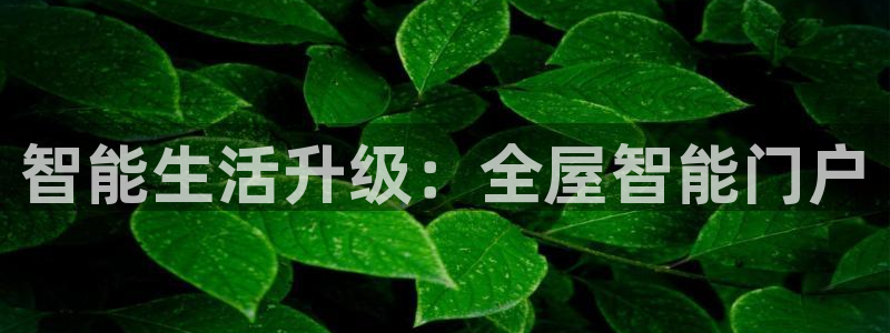 开丰娱乐前：智能生活升级：全屋智能门户