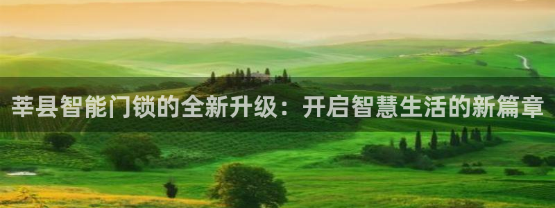 开丰娱乐网站官网入口：莘县智能门锁的全新升级：开启智慧生活的