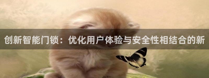 开丰娱乐平台地址查询：创新智能门锁：优化用户体验与安全性相结