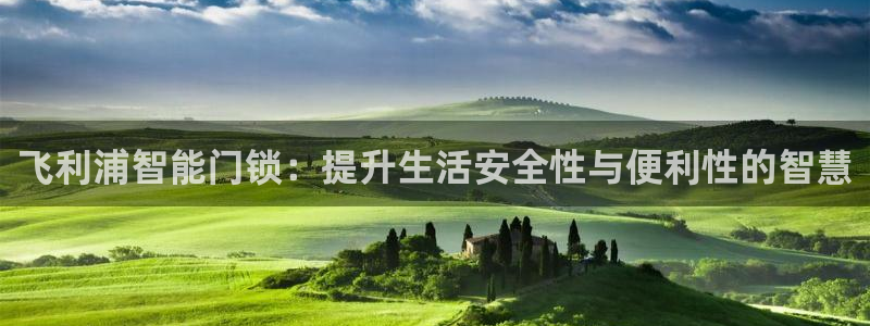 开丰娱乐姜333OO：飞利浦智能门锁：提升生活安全性与便利性