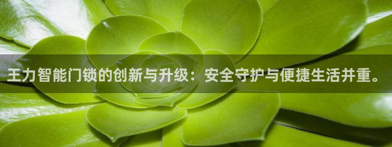 开丰娱乐科技：王力智能门锁的创新与升级：安全守护与便捷生活并